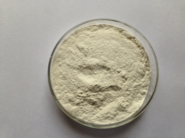 Guar Gum Powder