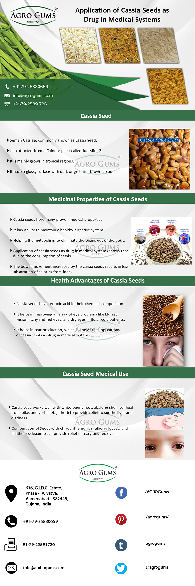 Application-of-Cassia-Seeds-in-Medical-Systems