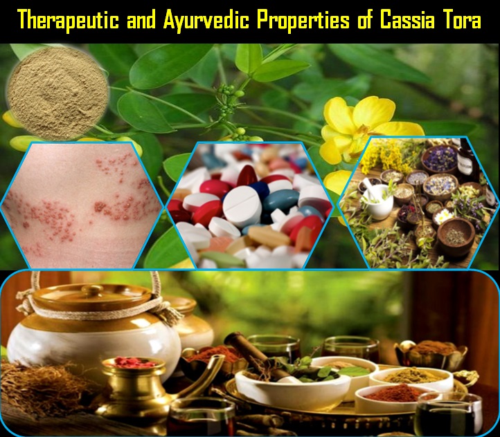 Cassia Tora Powder