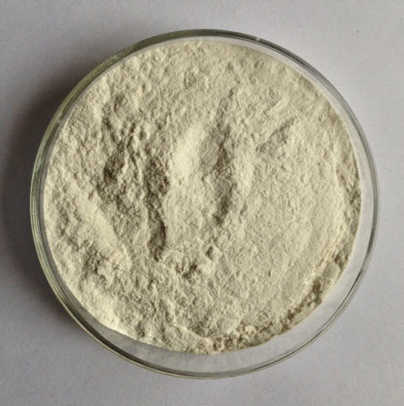 Guar Gum Powder Manufacturer