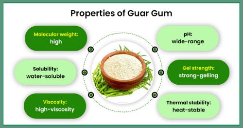 Guar Gum Powder