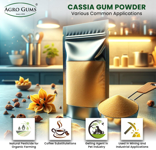 Applications of Cassia Gum Powder