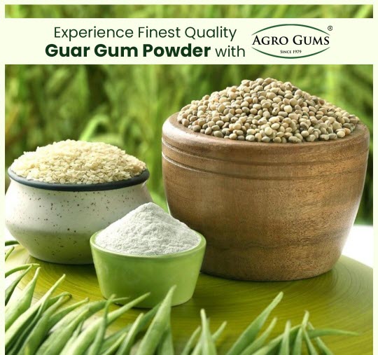 Organic Guar Gum Powder